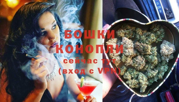 шишки Остров