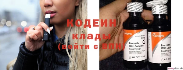 прущий лед Осташков