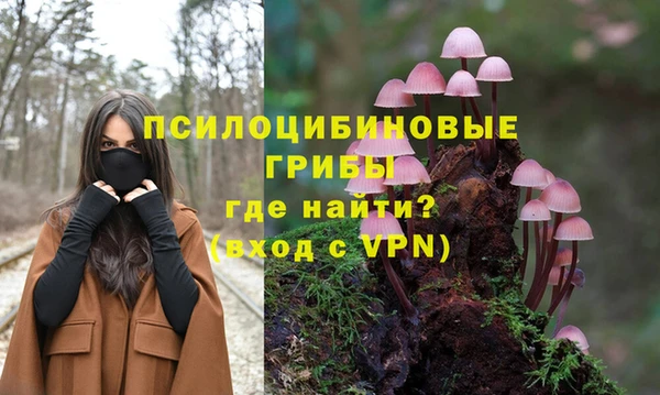 экстази Ряжск