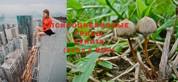 шишки Остров