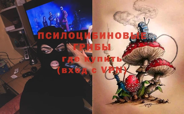 шишки Остров