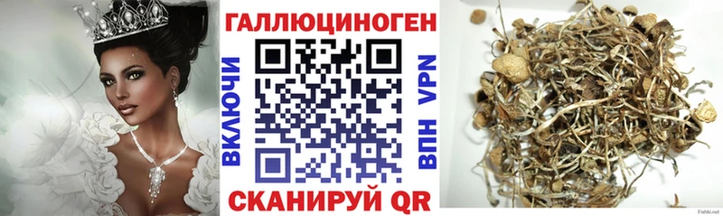 Галлюциногенные грибы Magic Shrooms  Холм 